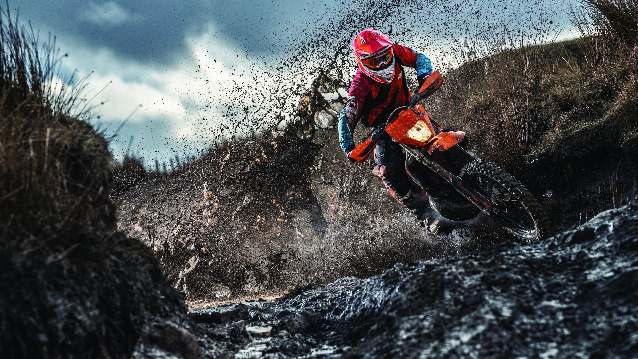 2024年德国队在世界杯赛场的激烈对抗与韧性,德国队备战世界杯