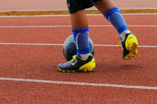 九游正版官网-明星球员带动体育产业发展，打造体育明星的弊端